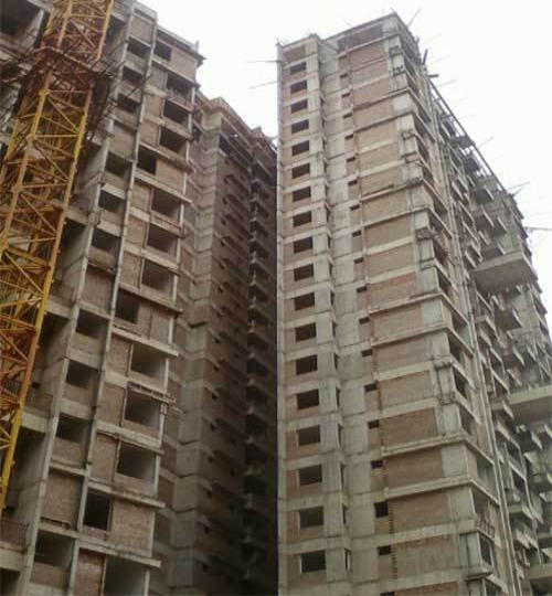 image (1)